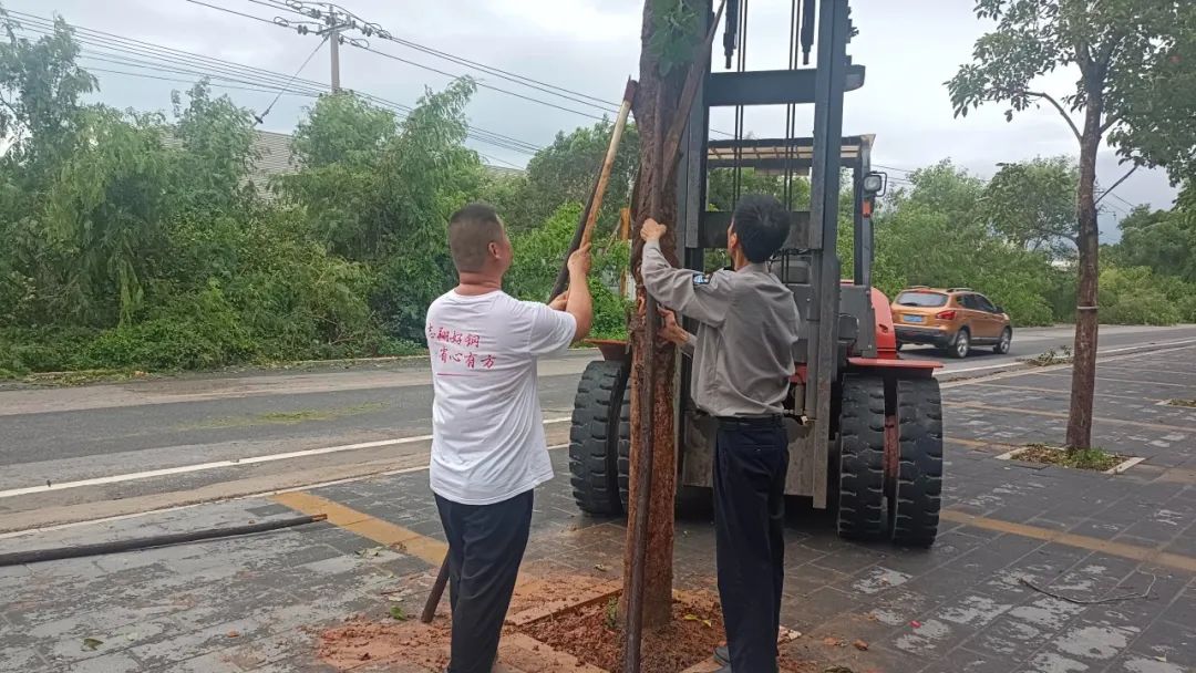 灾前防御闻风而逃 灾后自救迎风而上——志翔实业抗击台风“杜苏芮”纪实_赢天堂